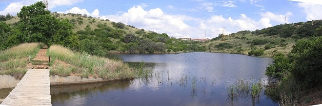 Botanical Gardens And Nature Reserves In Roodepoort