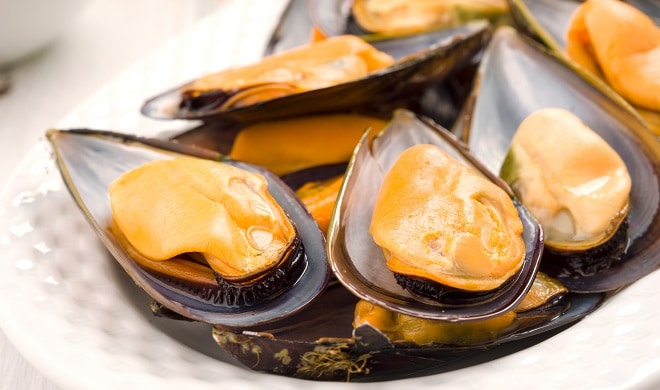 macro making natural mussels from Galicia, in tray